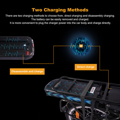 FAFREES 20F054 Folding Electric Bike, 20 Inch Electric Bicycle,250W 36V 10AH City E-Bike 25KM/H