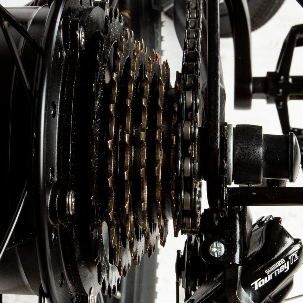 Samebike SH26 Electric bike 26 ", Motor 250W, 36V 8Ah, Range 30-50km, 7 Speed, Disc brake - Black